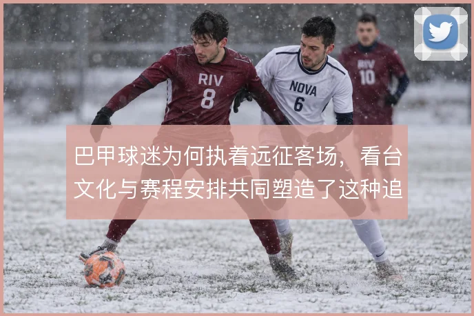 巴甲球迷为何执着远征客场，看台文化与赛程安排共同塑造了这种追随